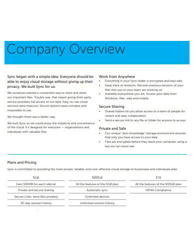 company overview in business plan sample