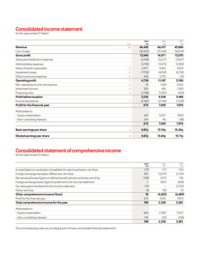 consolidated income statement