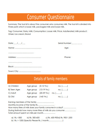 13+ Consumer Questionnaire Templates in PDF | DOC