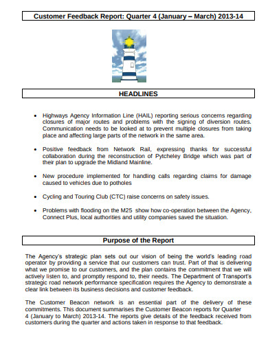 FREE 11 Customer Feedback Report Templates In PDF MS Word