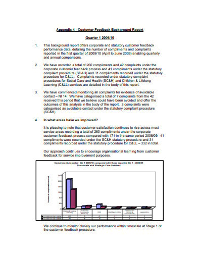 customer feedback report in pdf