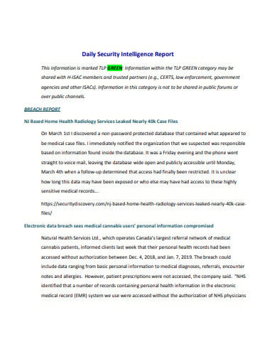 daily security intelligence report template