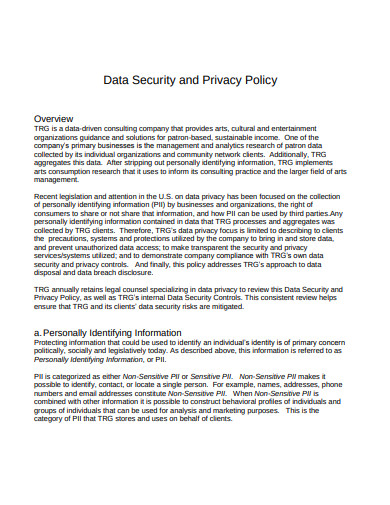 FREE 13+ Data Security Policy Templates in PDF | MS Word