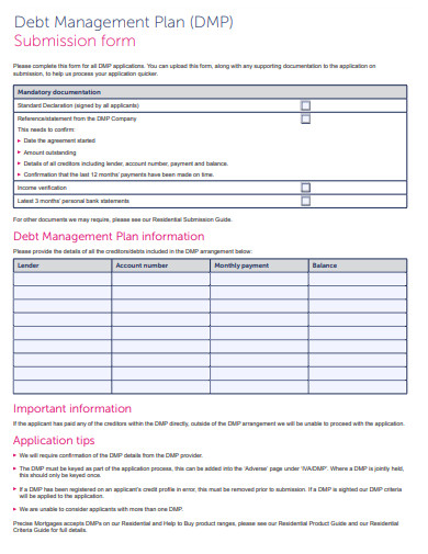 10 Debt Management Plan Templates In Google Docs Word Pages PDF