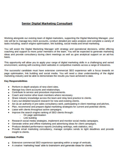 9-consultant-marketing-plan-templates-in-google-docs-pdf-pages-word