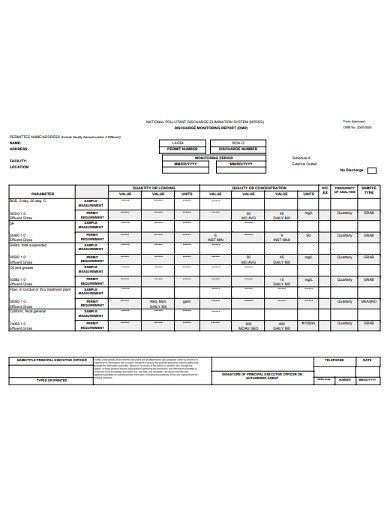 free-4-discharge-monitoring-report-templates-in-pdf-ms-word