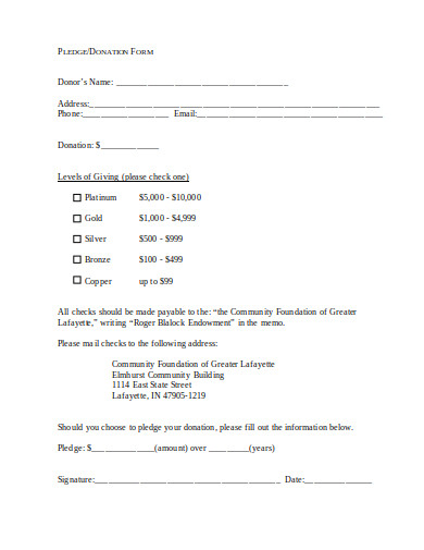 10 Charity Pledge Form Templates In Pdf Doc 