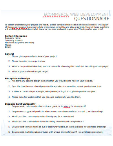 e-commerce-questionnaire-in-doc