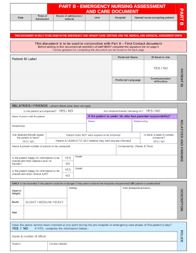 emergency nursing assessment form