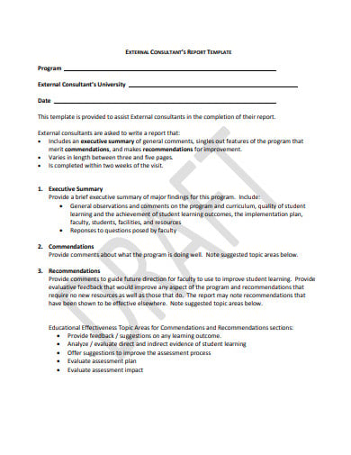 external consultant report template