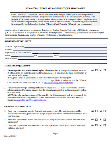 financial audit management questionnaire