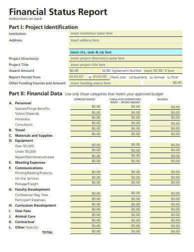 financial-status-report-in-pdf