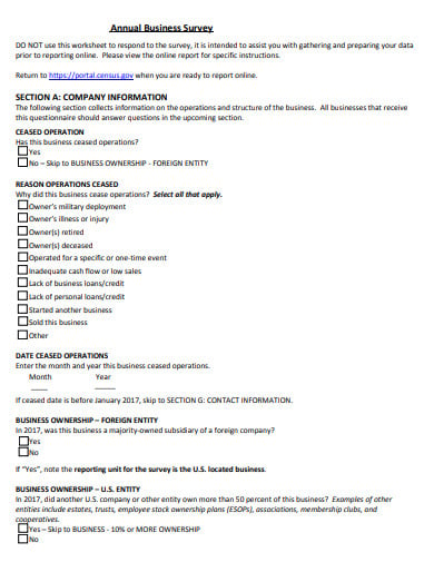 formal-annual-business-survey-template