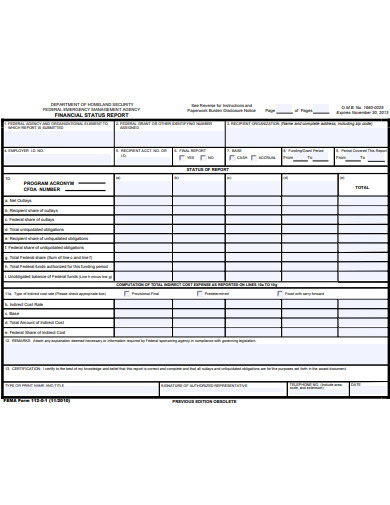 formal-financial-status-report-example