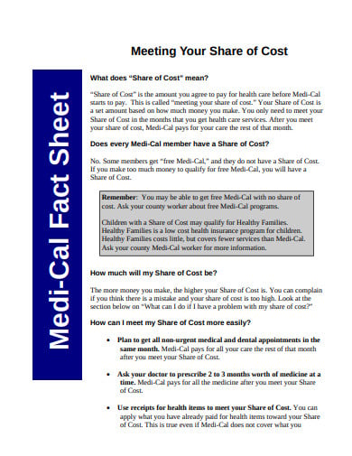 formal medical fact sheet template