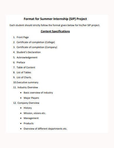 format-for-summer-internship-project-report-template