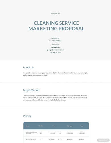 27+ Cleaning Proposal Templates - Word, PDF, Apple Pages, Google Docs