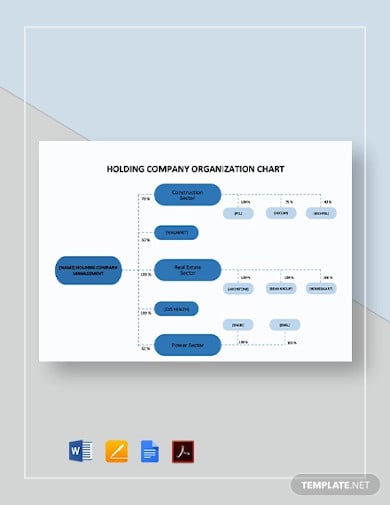 holding-company-organizational-chart-template