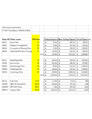 hospital trail balance sheet template