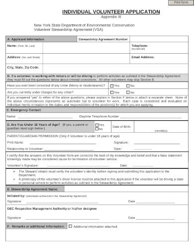 individual-volunteer-application-form-example-in-pdf