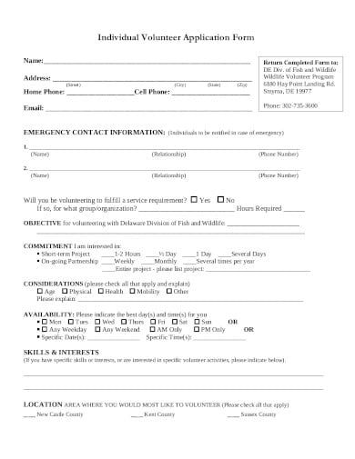 individual-volunteer-application-form