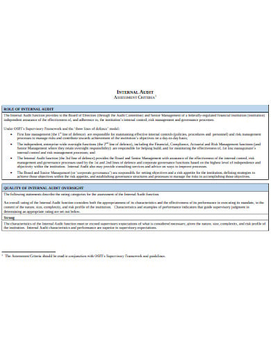 internal audit assessment template