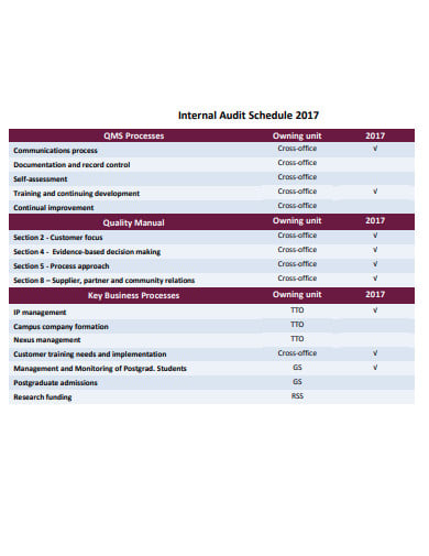internal audit schedule template