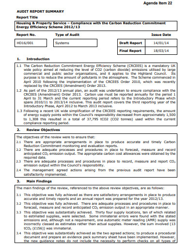 internal audit summary template