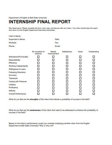internship-final-report-example