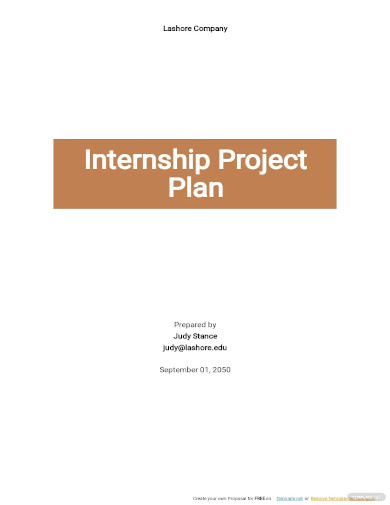 internship project plan template