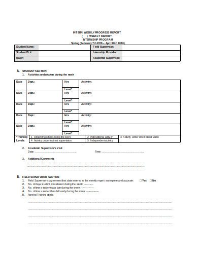 11+ Internship Weekly Report Templates in PDF | DOC | Free & Premium ...