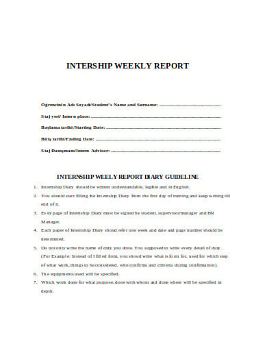 internship-weekly-report-example