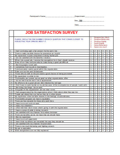 job satisfaction survey example