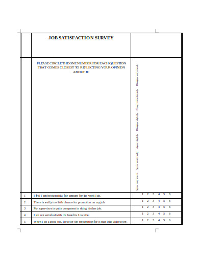 job satisfaction survey in doc