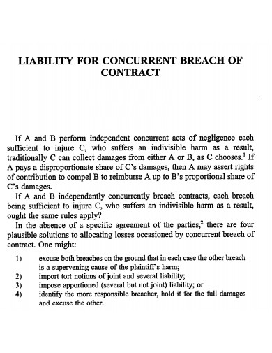 7 Liability Contract Templates In PDF