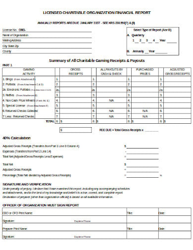 licensed-charitable-financial-report-template