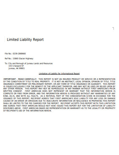 limited-liability-report