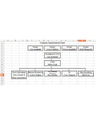 Company Organizational Chart Example