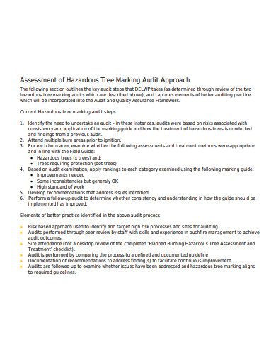 10+ Audit Assessment Templates in PDF | MS Word | Free & Premium Templates