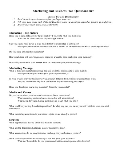 example of business plan questionnaire