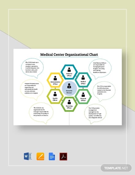 medical center organizational chart template