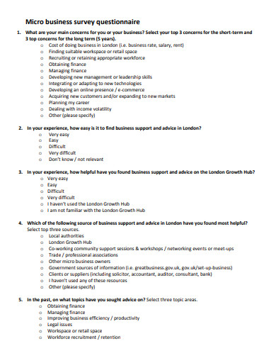 24+ Business Questionnaire Templates in Google Docs | Word | Pages | PDF