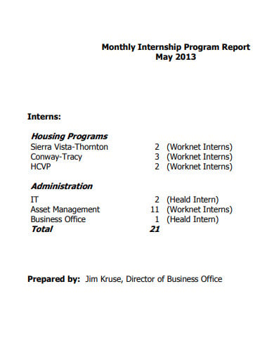 monthly internship program report in pdf