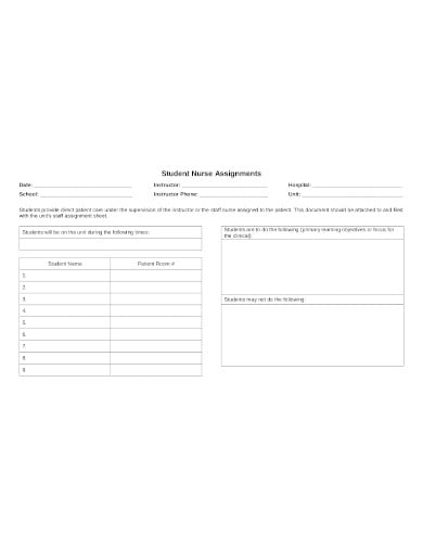 nursing student assignment sheet example in pdf