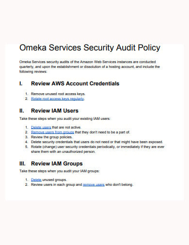 omeka services security audit policy template