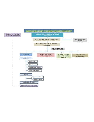 organization-chart-of-nursing-services-department