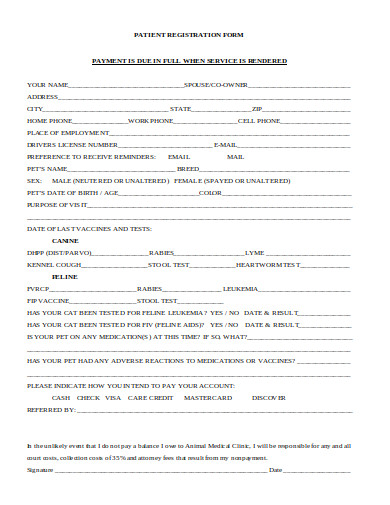 24+ Patient Registration Form Templates - PDF, DOC