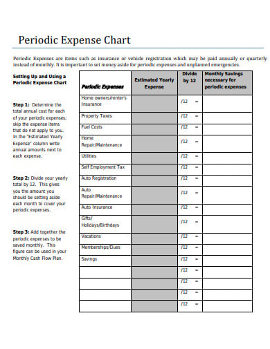 8+ Expense Chart Templates in PDF | Free & Premium Templates
