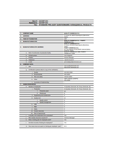 pre-audit-questionnaire-example