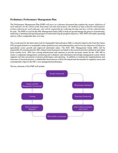 5+ Performance Management Plan Templates in PDF